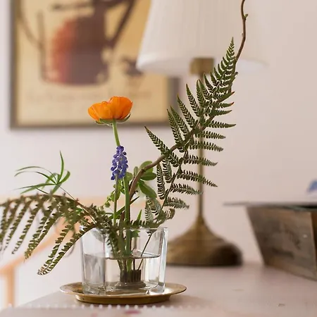 L'instant Jardin Saint-Mars-de-Coutais