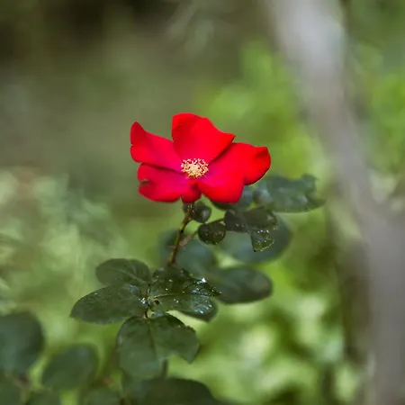 L'instant Jardin Bed and breakfast