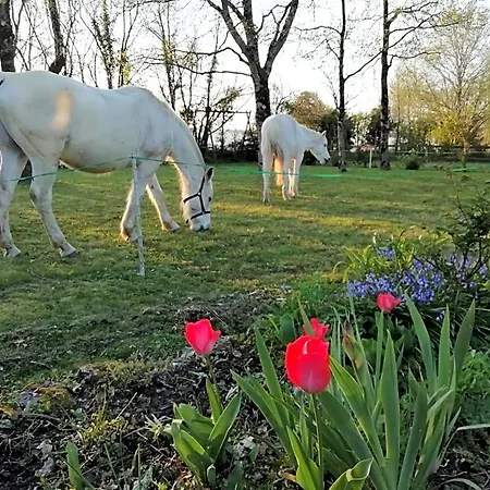 L'instant Jardin 3* Saint-Mars-de-Coutais