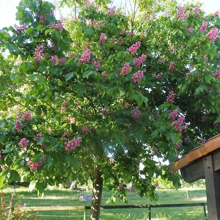 Bed & Breakfast L'instant Jardin *