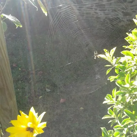 Nocleg ze śniadaniem L'instant Jardin Saint-Mars-de-Coutais