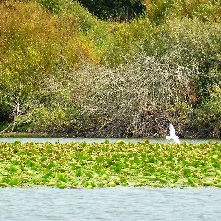 Bed and breakfast L'instant Jardin Saint-Mars-de-Coutais