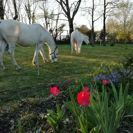 L'instant Jardin * Saint-Mars-de-Coutais