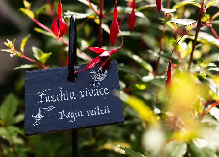 Bed & Breakfast L'instant Jardin