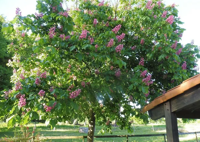 Bed & Breakfast L'instant Jardin 3*