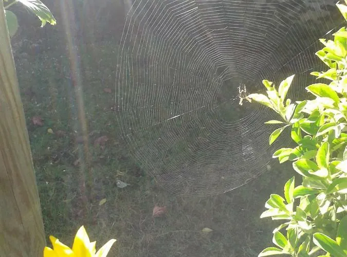 Bed & Breakfast L'instant Jardin Saint-Mars-de-Coutais