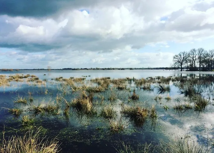 L'instant Jardin 3* Saint-Mars-de-Coutais