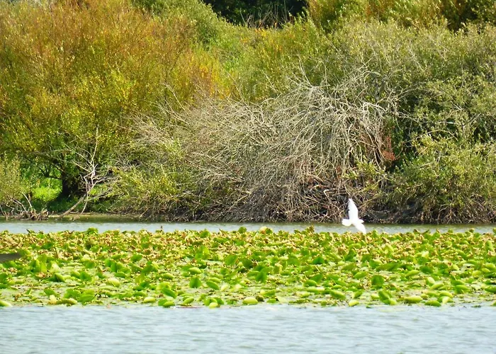 Bed & Breakfast L'instant Jardin Saint-Mars-de-Coutais