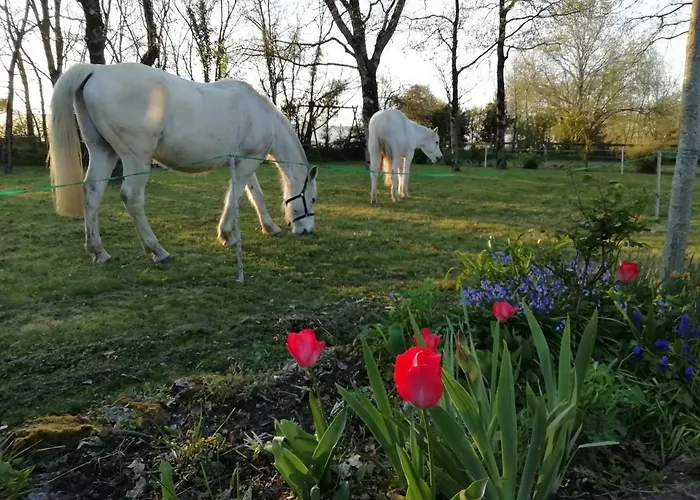 L'instant Jardin 3* Saint-Mars-de-Coutais